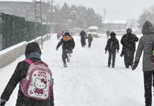 Hangi illerde yarın okullar tatil? Okullara kar tatili