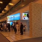 İspanya ‘emanet’ turistlerle rekor kırdı!