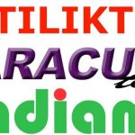 Artık sıkıldım! TUR ANDiAMO ve BARACUDATOUR şirketlerimi satıyorum