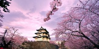 Turizmi Japon Modeli kurtarır mı?