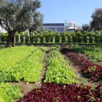 Dünyanın ilk Termal Ramada’sından bir ilk daha