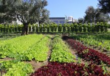 Dünyanın ilk Termal Ramada’sından bir ilk daha