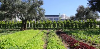 Dünyanın ilk Termal Ramada’sından bir ilk daha