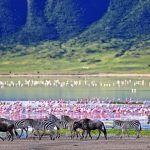 ProntoPlus alternatif turlarıyla gezginlere ayrıcalıklı seyahat deneyimleri sunuyor