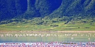 ProntoPlus alternatif turlarıyla gezginlere ayrıcalıklı seyahat deneyimleri sunuyor