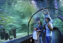 Dünyanın ilk iklim temalı akvaryumu ViaSea’da ilgi çekici operasyon!