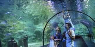 Dünyanın ilk iklim temalı akvaryumu ViaSea’da ilgi çekici operasyon!