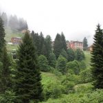Yeşil Yol, Giresun Adası’na uzadı!
