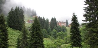 Yeşil Yol, Giresun Adası’na uzadı!