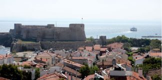 “Bu karar Bozcaada’da bağcılığı bitirecek!”