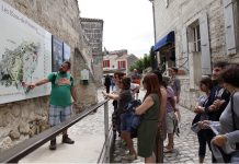 Rehber ile seyahat etmenin 5 faydası