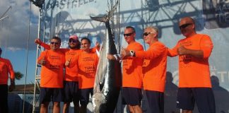 Türkiye’nin usta balıkçılarından rekor üstüne rekor