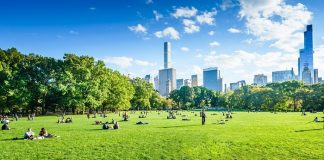 Sürdürülebilir Yaşam Film Festivali seyircisiyle buluşuyor