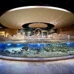 İstanbul Akvaryum’dan öğretmenlere sürpriz kampanya