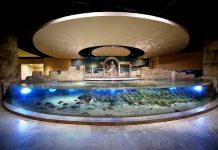 İstanbul Akvaryum’dan öğretmenlere sürpriz kampanya