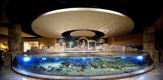 İstanbul Akvaryum’dan öğretmenlere sürpriz kampanya