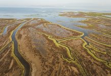 Gediz Deltası, UNESCO Dünya Doğa Mirası olsun!