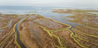 Gediz Deltası, UNESCO Dünya Doğa Mirası olsun!