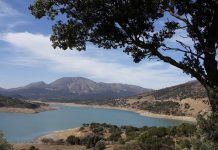 Turizm cenneti Gökçeada’da 4 yeni salyangoz türü tespit edildi