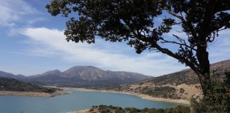 Turizm cenneti Gökçeada’da 4 yeni salyangoz türü tespit edildi