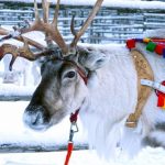 Yılbaşı tatiline hazır mısınız? İşte en popüler tur paketleri