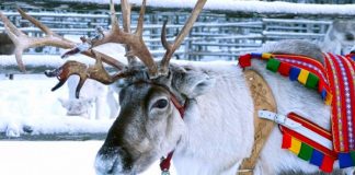Yılbaşı tatiline hazır mısınız? İşte en popüler tur paketleri