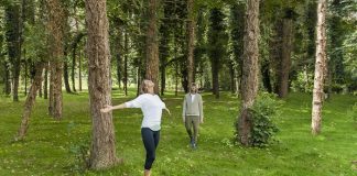 “Forest Bathing” konsepti ilk kez NG Sapanca’da