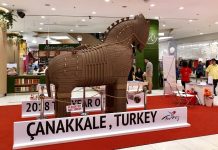 ‘2018 Troia Yılı’ tanıtımları Güney Asya’da!