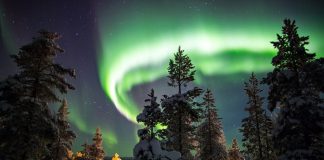 Kuzey ışıklarını izlemek için en iyi 5 rota Kış Masalları: Lapland'da Kuzey Işıkları ve Kar Festivali