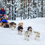 Fest Travel’dan gezgin ruhlara sömestr turu
