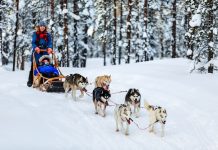 Fest Travel’dan gezgin ruhlara sömestr turu