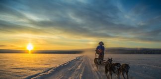 Seyahat kavramının ötesinde bir tur: Laponya
