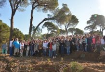 Limak Hatıra Ormanı misafir fidanlarla büyüyor