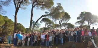 Limak Hatıra Ormanı misafir fidanlarla büyüyor