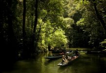 Malezya Türk turist için atağa geçti