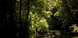 Malezya Türk turist için atağa geçti