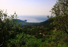 Datça’yı turizmde markalaştıracak projeler geliyor Datça turizmi