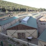 Adalılar: Fırsatçı faytoncular kendi mesleklerine zarar veriyor!