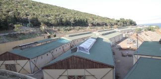 Adalılar: Fırsatçı faytoncular kendi mesleklerine zarar veriyor!