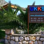 Badem çiçeklerinden sanata uzanan yolculuk: UKKSA!