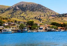 Gökçeada’dan sevindiren haber!