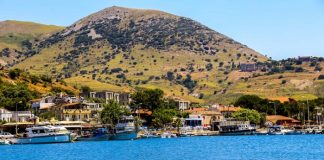 Gökçeada’dan sevindiren haber!