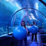 Dünyanın ilk 9 fonksiyonlu eğlence adası Viasea’da pilates dersleri