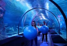 Dünyanın ilk 9 fonksiyonlu eğlence adası Viasea’da pilates dersleri