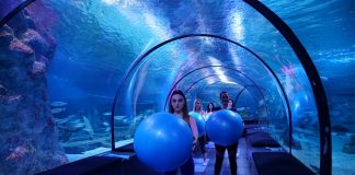 Dünyanın ilk 9 fonksiyonlu eğlence adası Viasea’da pilates dersleri