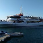 Sığacık-Samos Adası feribot seferleri yeniden başladı