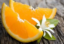 Adana Belediyesi’nden Portakal Çiçeği Karnavalı’na büyük destek