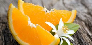 Adana Belediyesi’nden Portakal Çiçeği Karnavalı’na büyük destek