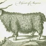 “Tarihi Dokumak: Bir Kentin Gizemi” sergisine adım adım