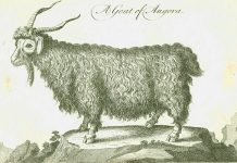 “Tarihi Dokumak: Bir Kentin Gizemi” sergisine adım adım